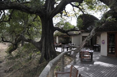 20090814061154 - Safari Lodge Dining Deck Under Trees