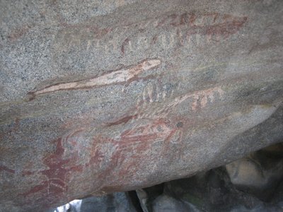 Indian Markings