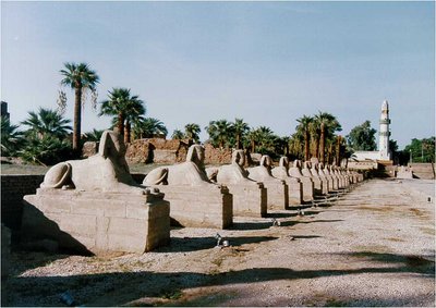 Luxor Temple Sphinxes